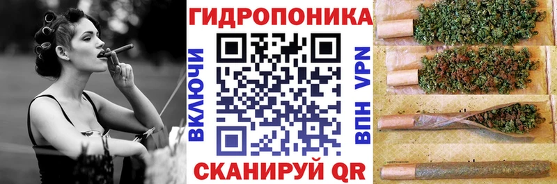Марихуана конопля  Отрадная 